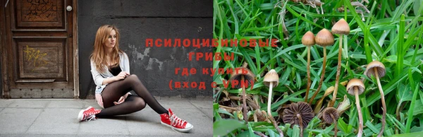 винт Алзамай