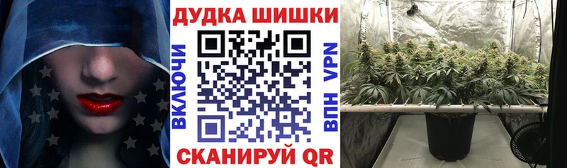 где купить наркоту  Приморск  hydra tor  Марихуана индика 